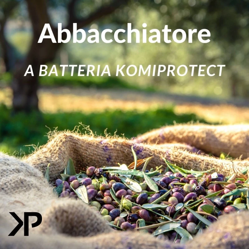 Abbacchiatore Elettrico A Batteria Manico Telescopico 193-293 Cm 3 Abbacchiatore Elettrico A Batteria Manico Telescopico 193-293 Cm - immagine 3