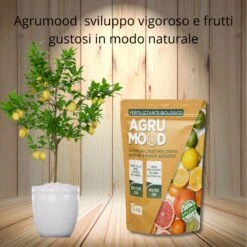 AGRUMOOD LUPINI MACINATI PER AGRUMI 1 KG Per Limoni In Vaso E In Terra E Piante Acidofile -Garden Home agrumood lupini macinati per agrumi 1 kg per limoni in vaso e in terra e piante acidofile 2