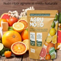 AGRUMOOD LUPINI MACINATI PER AGRUMI 1 KG Per Limoni In Vaso E In Terra E Piante Acidofile -Garden Home agrumood lupini macinati per agrumi 1 kg per limoni in vaso e in terra e piante acidofile 3