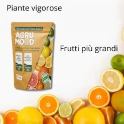AGRUMOOD LUPINI MACINATI PER AGRUMI 1 KG Per Limoni In Vaso E In Terra E Piante Acidofile -Garden Home agrumood lupini macinati per agrumi 1 kg per limoni in vaso e in terra e piante acidofile 5