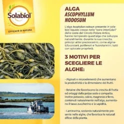 Algasan Solabiol 1 LT Concime Liquido Biologico -Garden Home algasan solabiol 1 lt concime liquido biologico 3