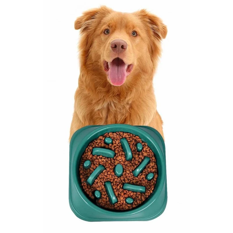 BAUMOOD Ciotola Per Cani Anti Ingozzamento Soffocamento Gialla 4 BAUMOOD Ciotola Per Cani Anti Ingozzamento Soffocamento Gialla - immagine 4