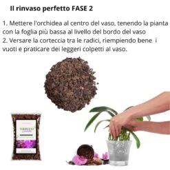 Corteccia Per Orchidee BARKMOOD Speciale Rinvaso 1,5 Lt -Garden Home corteccia per orchidee barkmood speciale rinvaso 15 lt 5