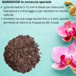 Corteccia Per Orchidee BARKMOOD Speciale Rinvaso 3,5 Lt -Garden Home corteccia per orchidee barkmood speciale rinvaso 35 lt 6