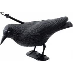 Corvo Spaventapasseri