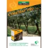 Cyma Trappola Pro Fenormoni Per Cimice Asiatica 4 Cyma Trappola Pro Fenormoni Per Cimice Asiatica -Garden Home cyma trappola pro fenormoni per cimice asiatica