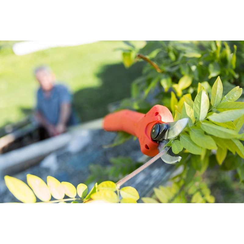 Forbice Kantia E-22 TR Ad Asta Lunga Telescopica 180-300 Cm Stocker 2 Forbice Kantia E-22 TR Ad Asta Lunga Telescopica 180-300 Cm Stocker - immagine 2