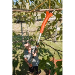 Forbice Kantia E-22 TR Ad Asta Lunga Telescopica 180-300 Cm Stocker 11 Forbice Kantia E-22 TR Ad Asta Lunga Telescopica 180-300 Cm Stocker -Garden Home forbice kantia e 22 tr ad asta lunga telescopica 180 300 cm stocker 3