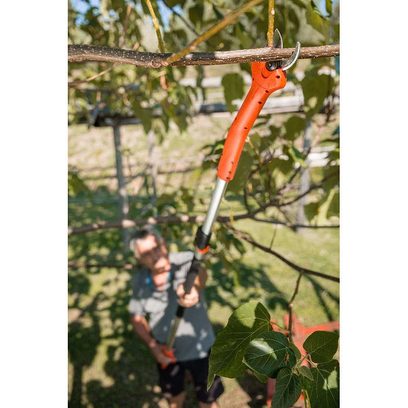 Forbice Kantia E-22 TR Ad Asta Lunga Telescopica 180-300 Cm Stocker 4 Forbice Kantia E-22 TR Ad Asta Lunga Telescopica 180-300 Cm Stocker - immagine 4