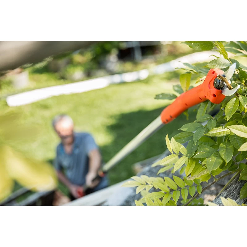 Forbice Kantia E-22 TR Ad Asta Lunga Telescopica 180-300 Cm Stocker 6 Forbice Kantia E-22 TR Ad Asta Lunga Telescopica 180-300 Cm Stocker - immagine 6