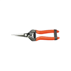 Forbice Vendemmia Stocker