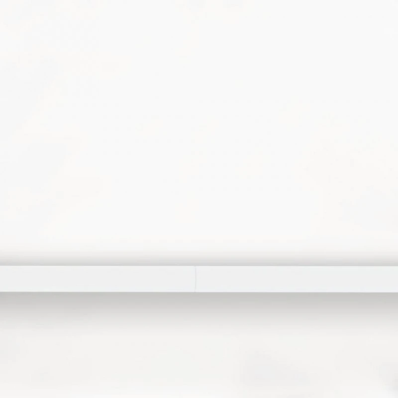 Gazebo Professionale Con Pareti 2,5x2,5 M Bianco 90 G/m² 8 Gazebo Professionale Con Pareti 2,5x2,5 M Bianco 90 G/m² - immagine 8