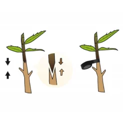 Innestatrice Manuale Professionale -Garden Home innestatrice manuale professionale 4