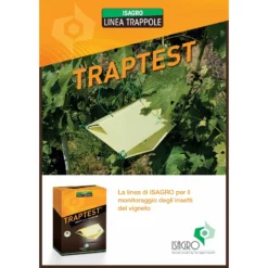Isatrap Traptest Lepidotteri Trappola Fenormoni Tignola Della Vite (Eupoecilia Ambiguella) -Garden Home isatrap traptest lepidotteri trappola fenormoni tignola della vite eupoecilia ambiguella 1
