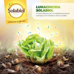 Lumachicida Ferramol BIO X 1 Kg 5 Lumachicida Ferramol BIO X 1 Kg -Garden Home lumachicida ferramol bio x 1 kg 1