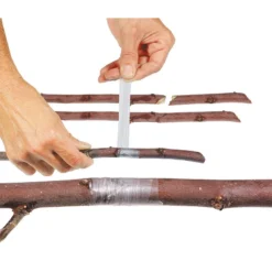 Nastro Innesto Prof. 60 Mt PREFORATO 6 Nastro Innesto Prof. 60 Mt PREFORATO -Garden Home nastro innesto prof 60 mt 2