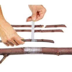 Garden Home -Garden Home nastro innesto professionale 25 mm x 60 mt 1