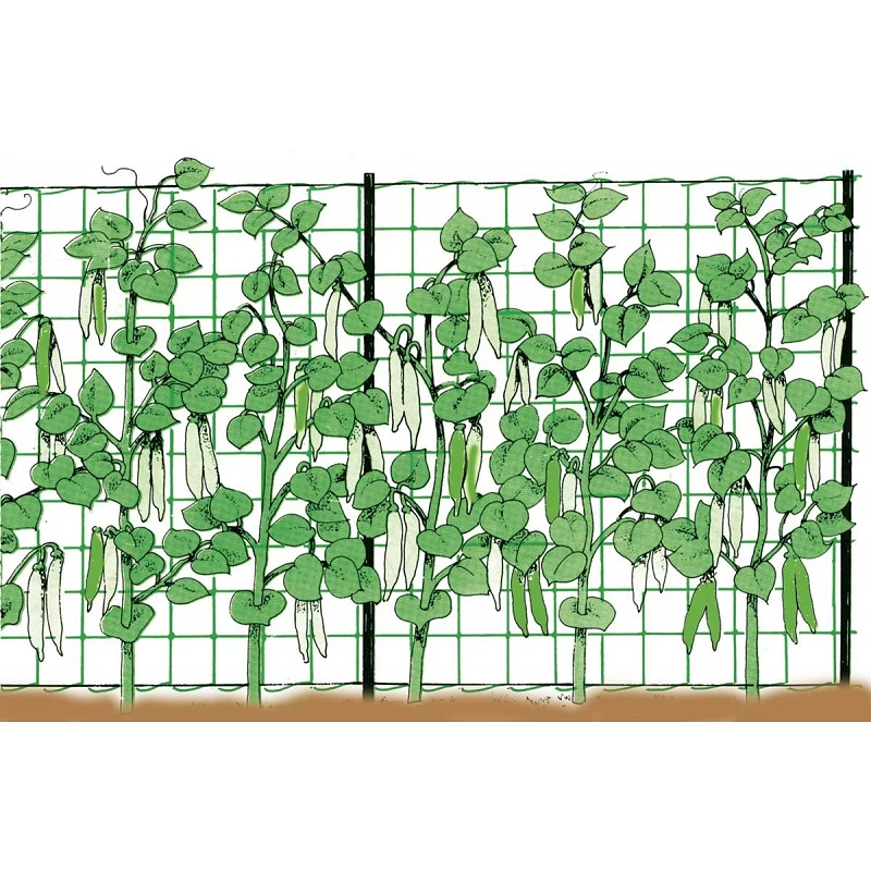 Rete Arrampicante 2X10 Mt 2 Rete Arrampicante 2X10 Mt - immagine 2