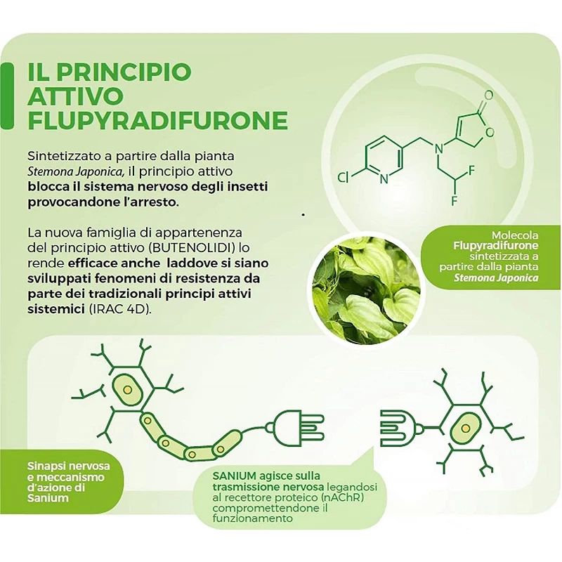 Sanium Insetticida Sistemico 5 Ml Afidi E Cocciniglie 1 Sanium Insetticida Sistemico 5 Ml Afidi E Cocciniglie