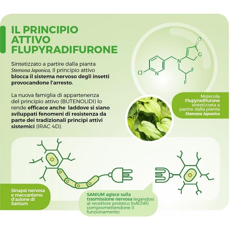 Sanium Pin Insetticida Sistemico 20 Pastiglie X 2 G 3 Sanium Pin Insetticida Sistemico 20 Pastiglie X 2 G - immagine 3