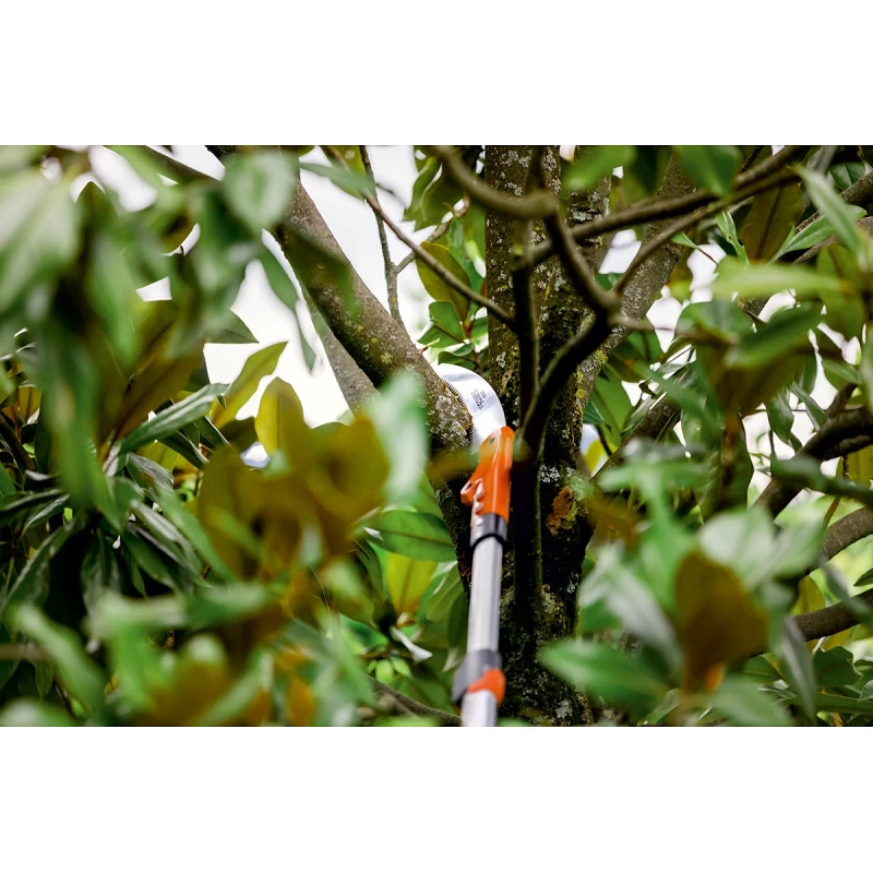 Seghetto Sirkos 330 TC Con Manico Telescopico 265-455 Cm 1 Seghetto Sirkos 330 TC Con Manico Telescopico 265-455 Cm