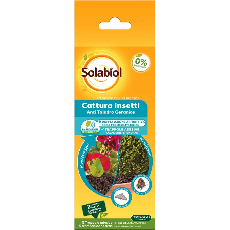 Solabiol Cattura Insetti Geranio E Bosso 1 Solabiol Cattura Insetti Geranio E Bosso