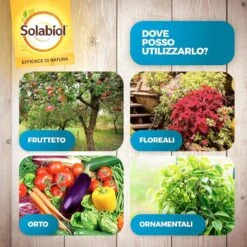Solabiol Lecitina Di Soia X 1lt Rtu Liberi Dai Funghi -Garden Home solabiol lecitina di soia x 1lt rtu liberi dai funghi 3
