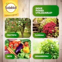 Solabiol Olio Bianco Vegetale X 1 Lt Insetticida -Garden Home solabiol olio bianco vegetale x 1 lt insetticida 2