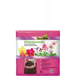 Tarra Brill Orchidee 5 Lt