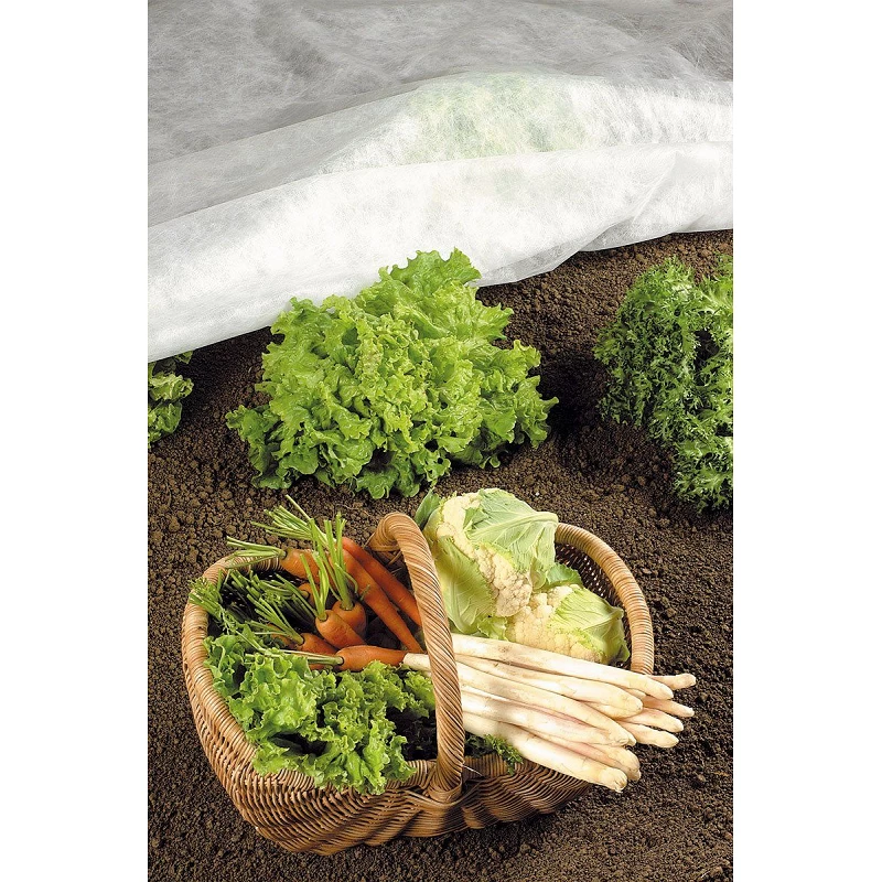 Tessuto Antigelo Invernale 10x1,60 Mt 30gr 3 Tessuto Antigelo Invernale 10x1,60 Mt 30gr - immagine 3